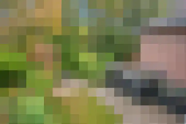 Rusthoflaan 24 Voorburg thumbnail 28