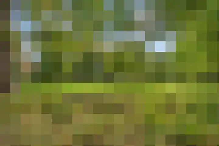 Rusthoflaan 24 Voorburg thumbnail 5