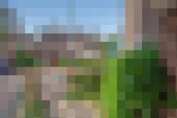 Rusthoflaan 24 Voorburg thumbnail 7