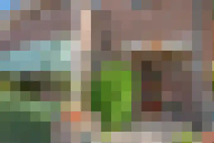 Rusthoflaan 24 Voorburg thumbnail 8