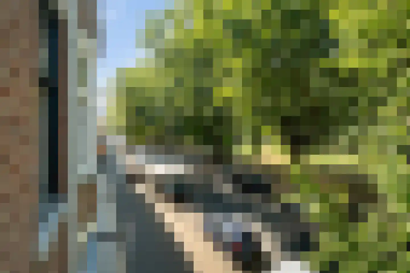 Rusthoflaan 32 A Rotterdam thumbnail 23