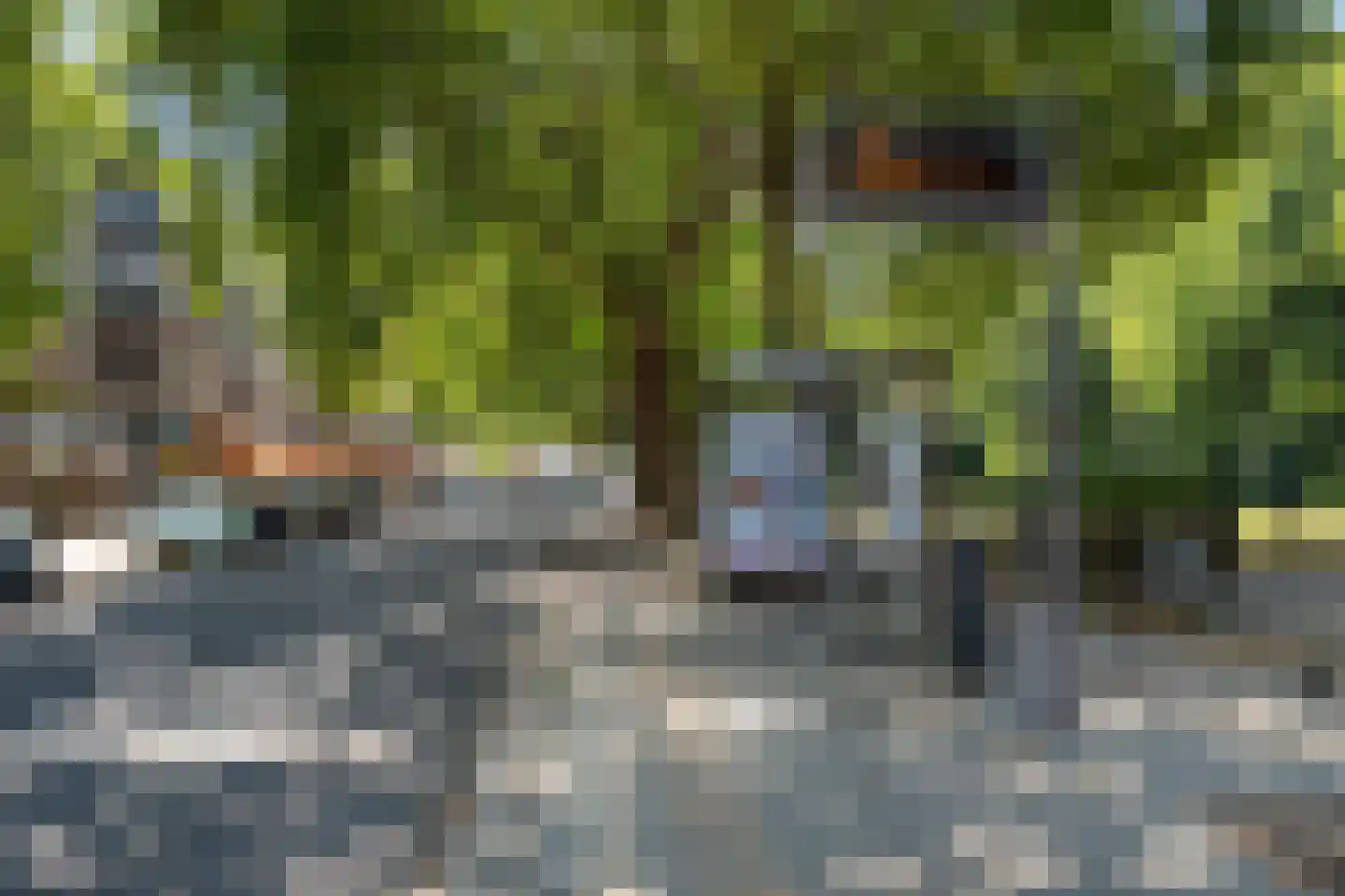 Rusthoflaan 32 A Rotterdam thumbnail 28