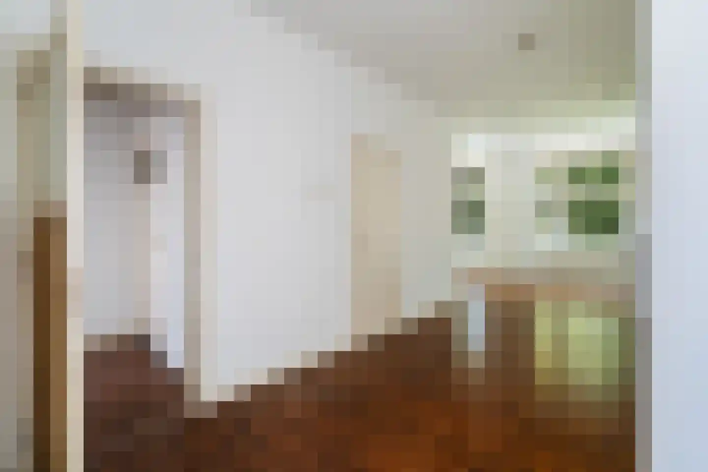 Rusthoflaan 32 A Rotterdam thumbnail 5
