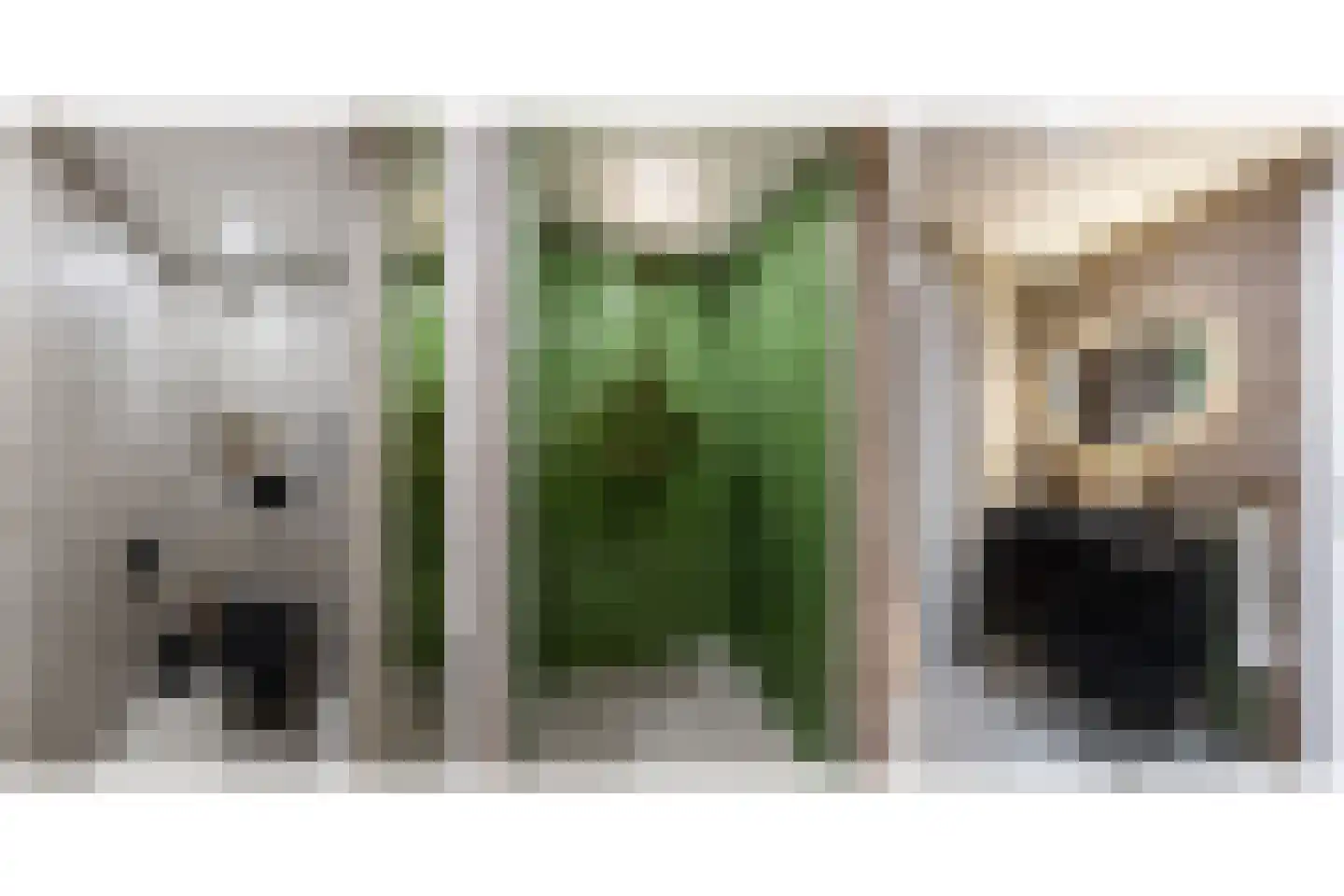 Rusthoflaan 61 C 02 Rotterdam thumbnail 4