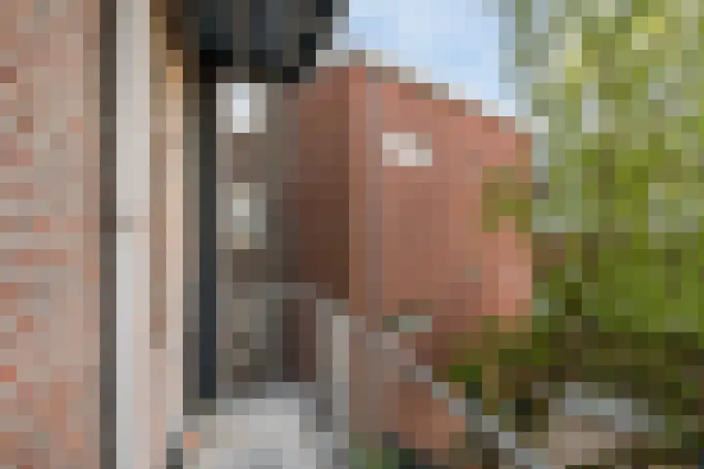 Rusthoflaan 63 A 02 Rotterdam thumbnail 16