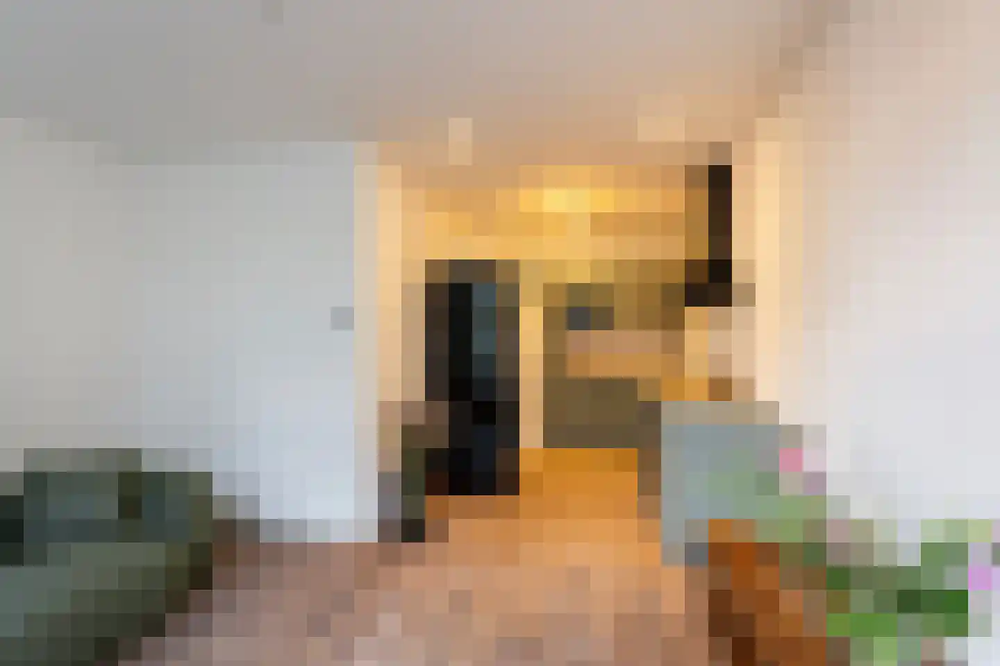 Rusthoflaan 63 A Rotterdam thumbnail 8