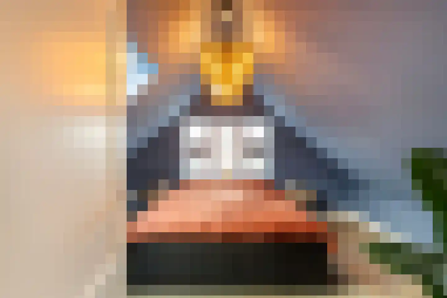 Rusthoflaan 63 B Rotterdam thumbnail 14