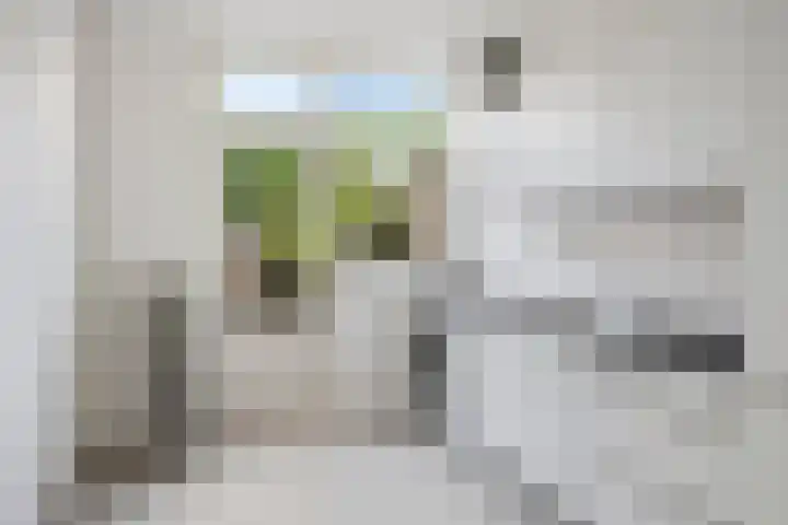 Rusthofstraat 5 Middelburg thumbnail 4