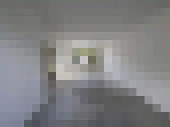 Rusthofstraat 5 Middelburg thumbnail 6