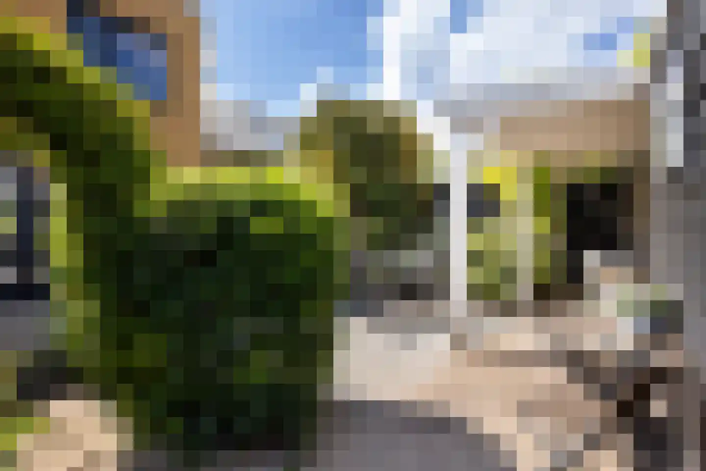 Rusthout 33 Dordrecht thumbnail 5