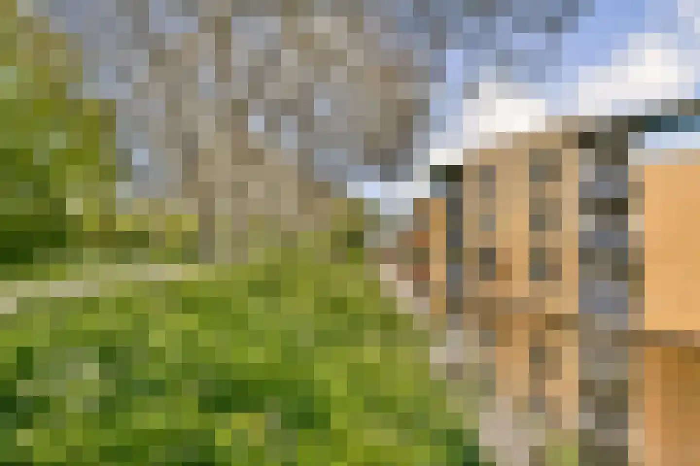 Rusthout 50 Dordrecht thumbnail 8
