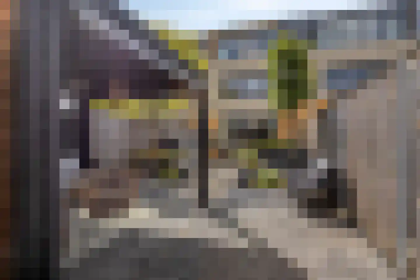 Rusthout 9 Dordrecht thumbnail 31
