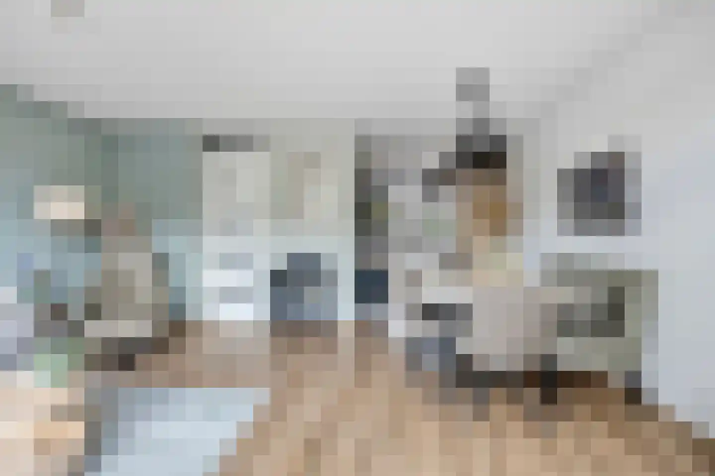 Rusthout 9 Dordrecht thumbnail 7