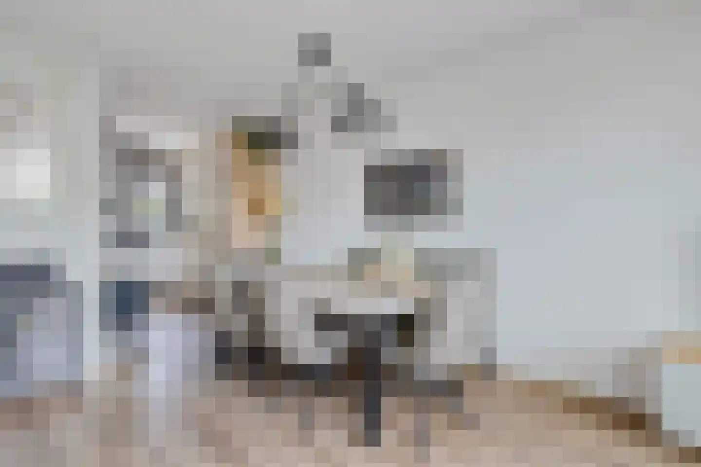 Rusthout 9 Dordrecht thumbnail 8