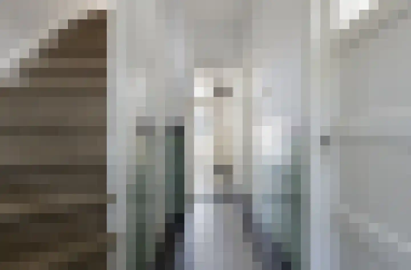 Rustlandstraat 4 Breda thumbnail 6