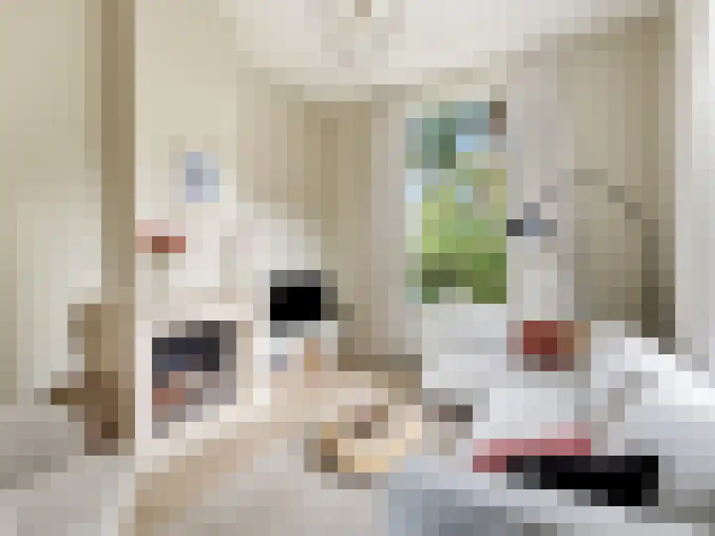 Rustoordlaan 21 Eefde thumbnail 10