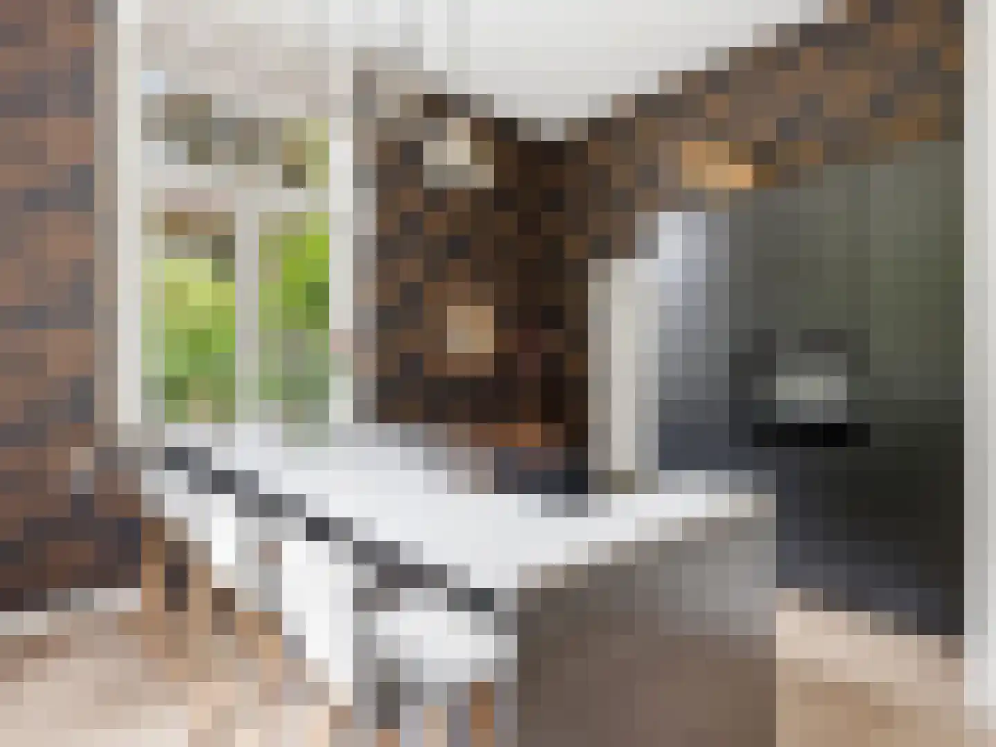 Rustoordlaan 21 Eefde thumbnail 12