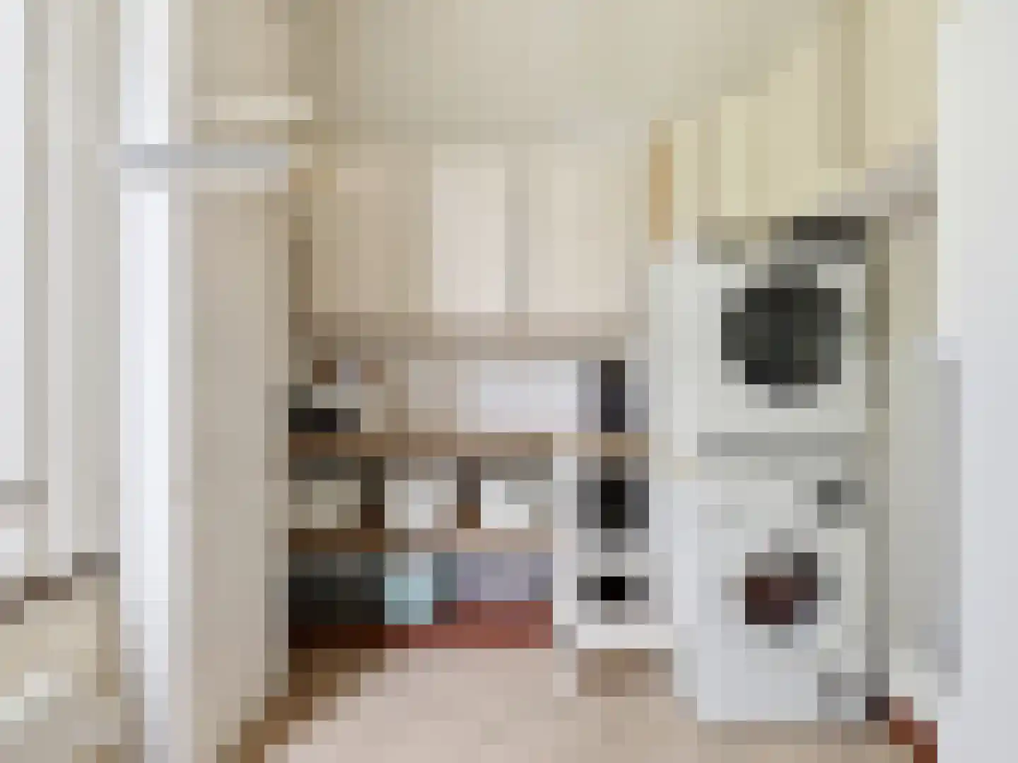 Rustoordlaan 21 Eefde thumbnail 15