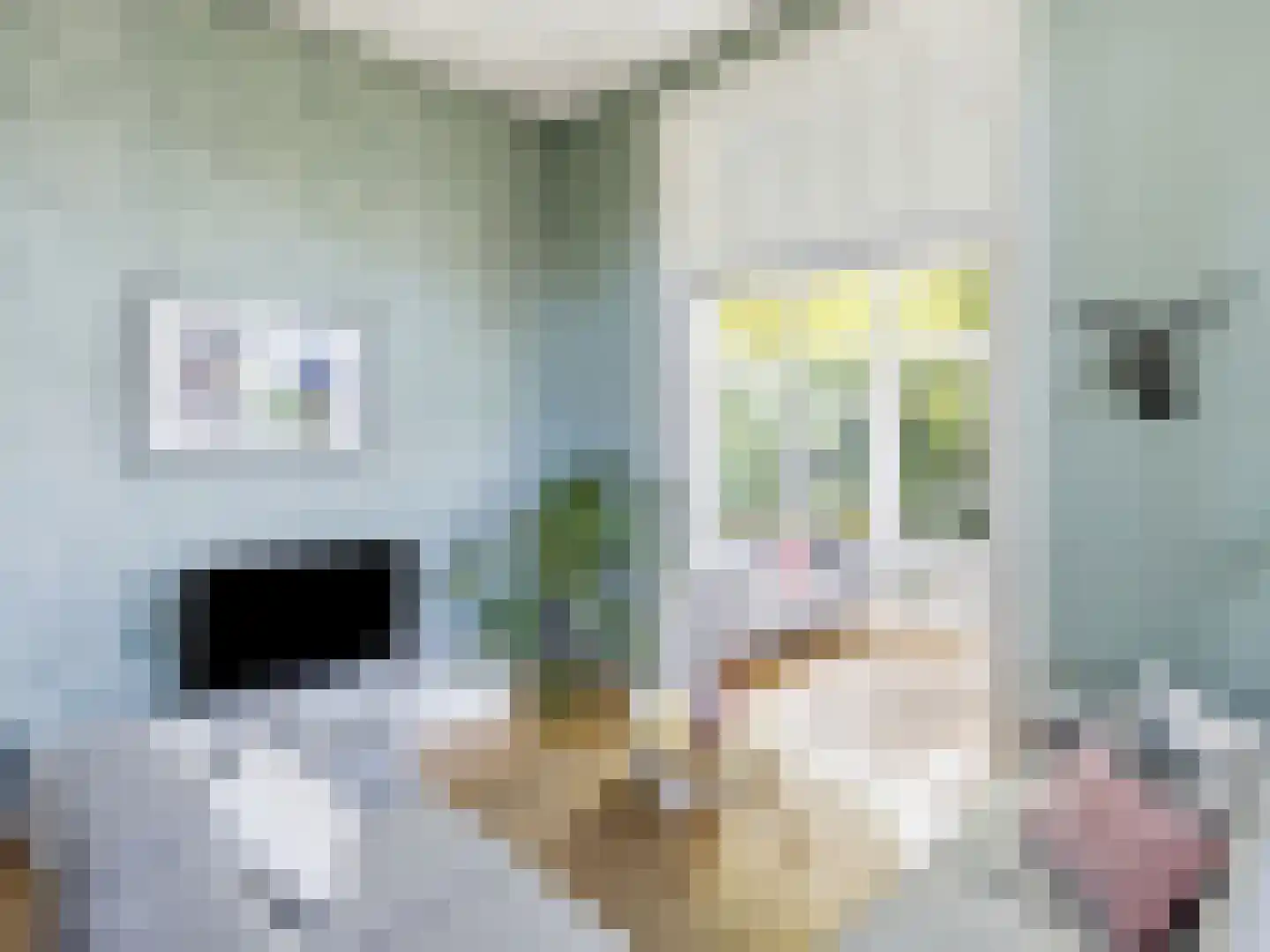 Rustoordlaan 21 Eefde thumbnail 17