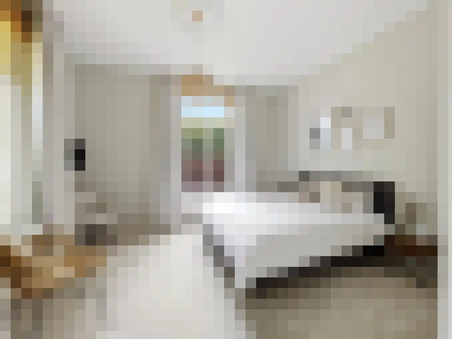 Rustoordlaan 21 Eefde thumbnail 21