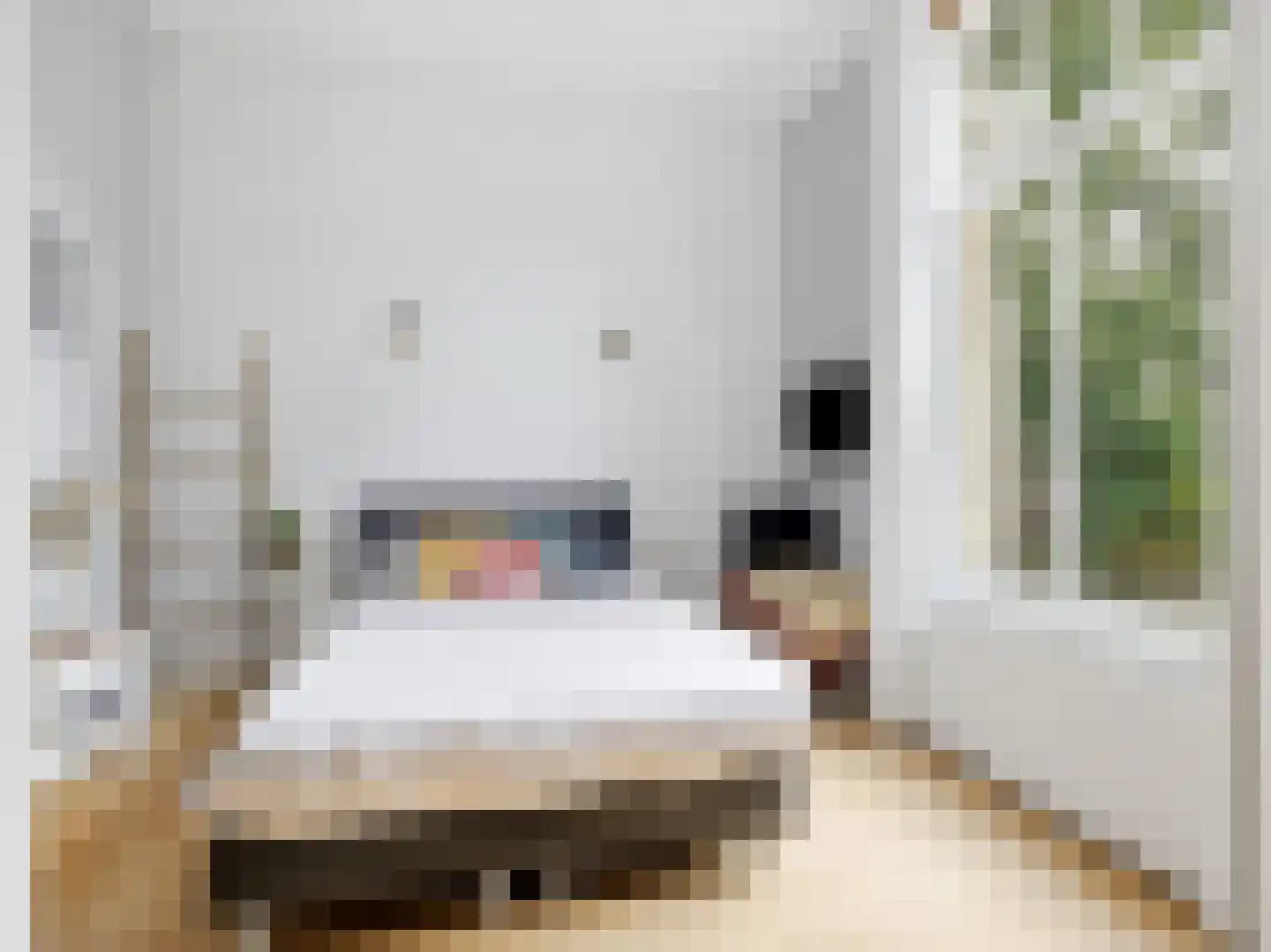 Rustoordlaan 21 Eefde thumbnail 34