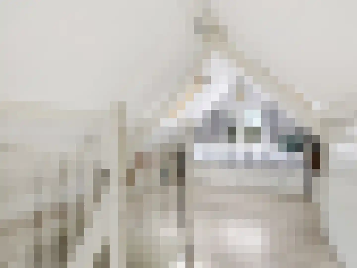 Rustoordlaan 21 Eefde thumbnail 37