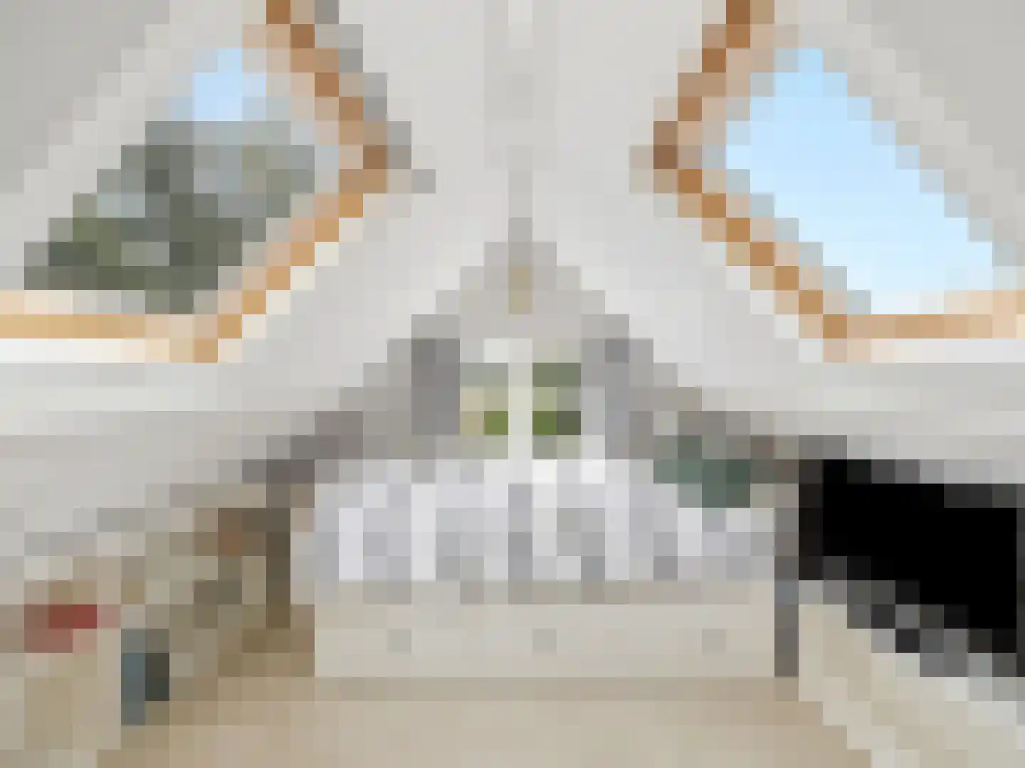 Rustoordlaan 21 Eefde thumbnail 38