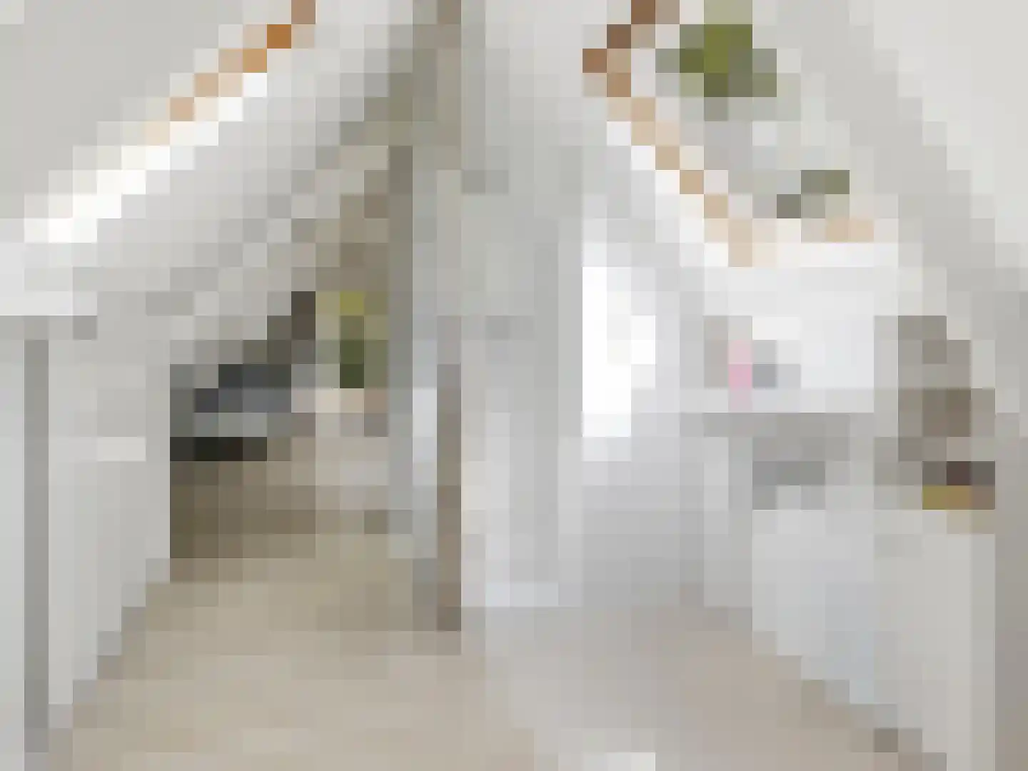 Rustoordlaan 21 Eefde thumbnail 40