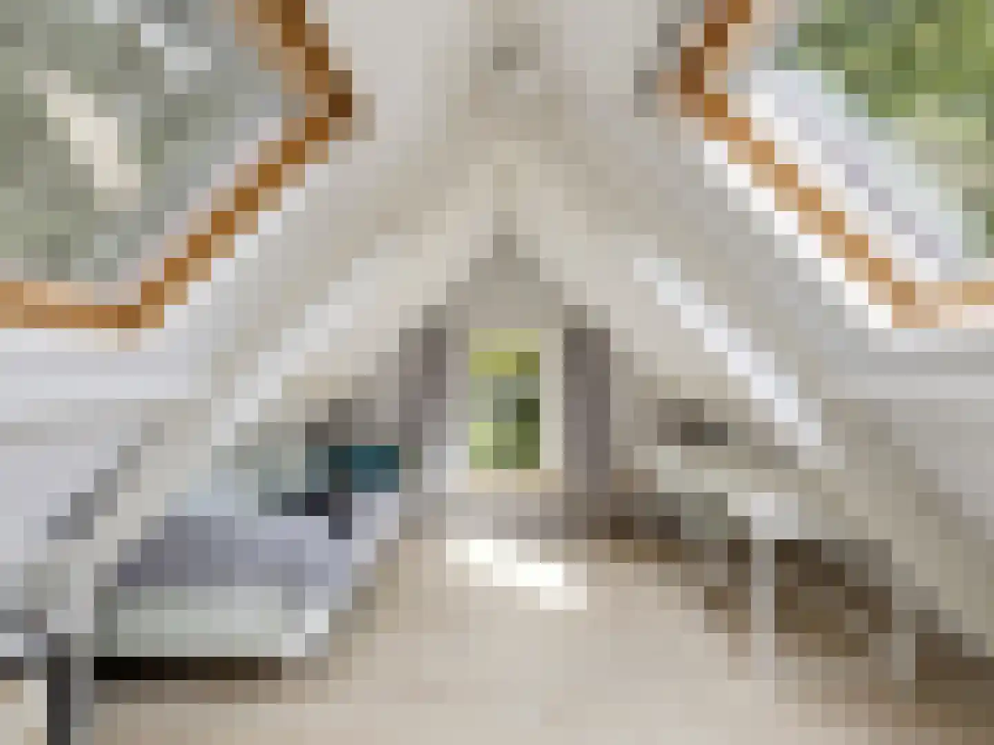 Rustoordlaan 21 Eefde thumbnail 41