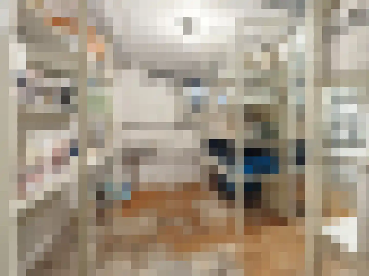 Rustoordlaan 21 Eefde thumbnail 43