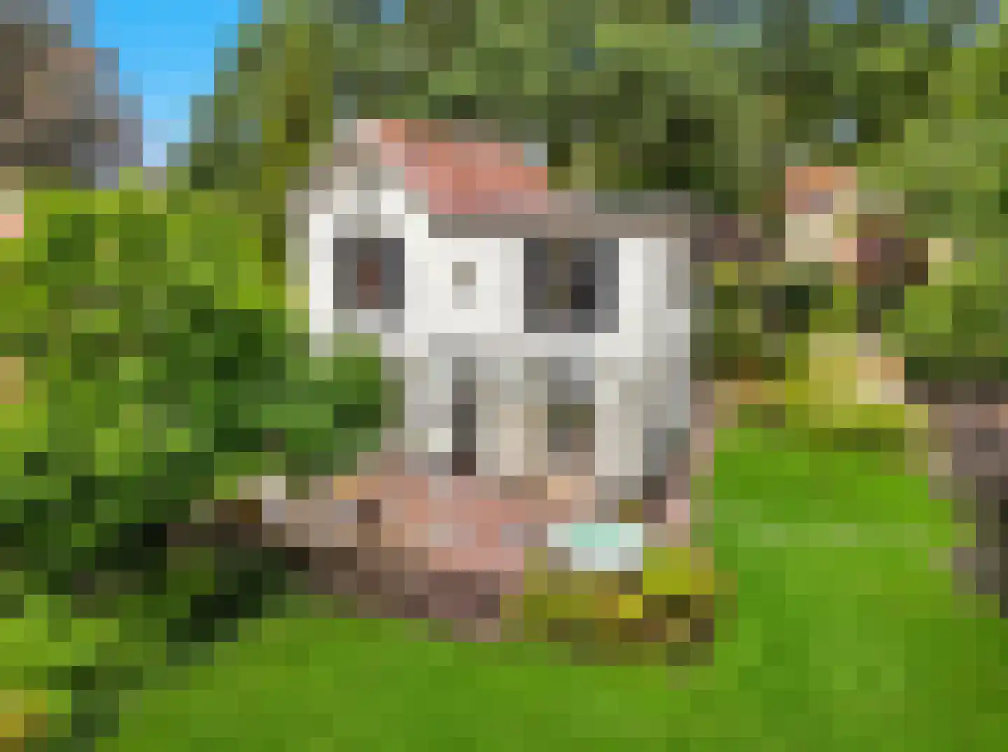 Rustoordlaan 21 Eefde thumbnail 44