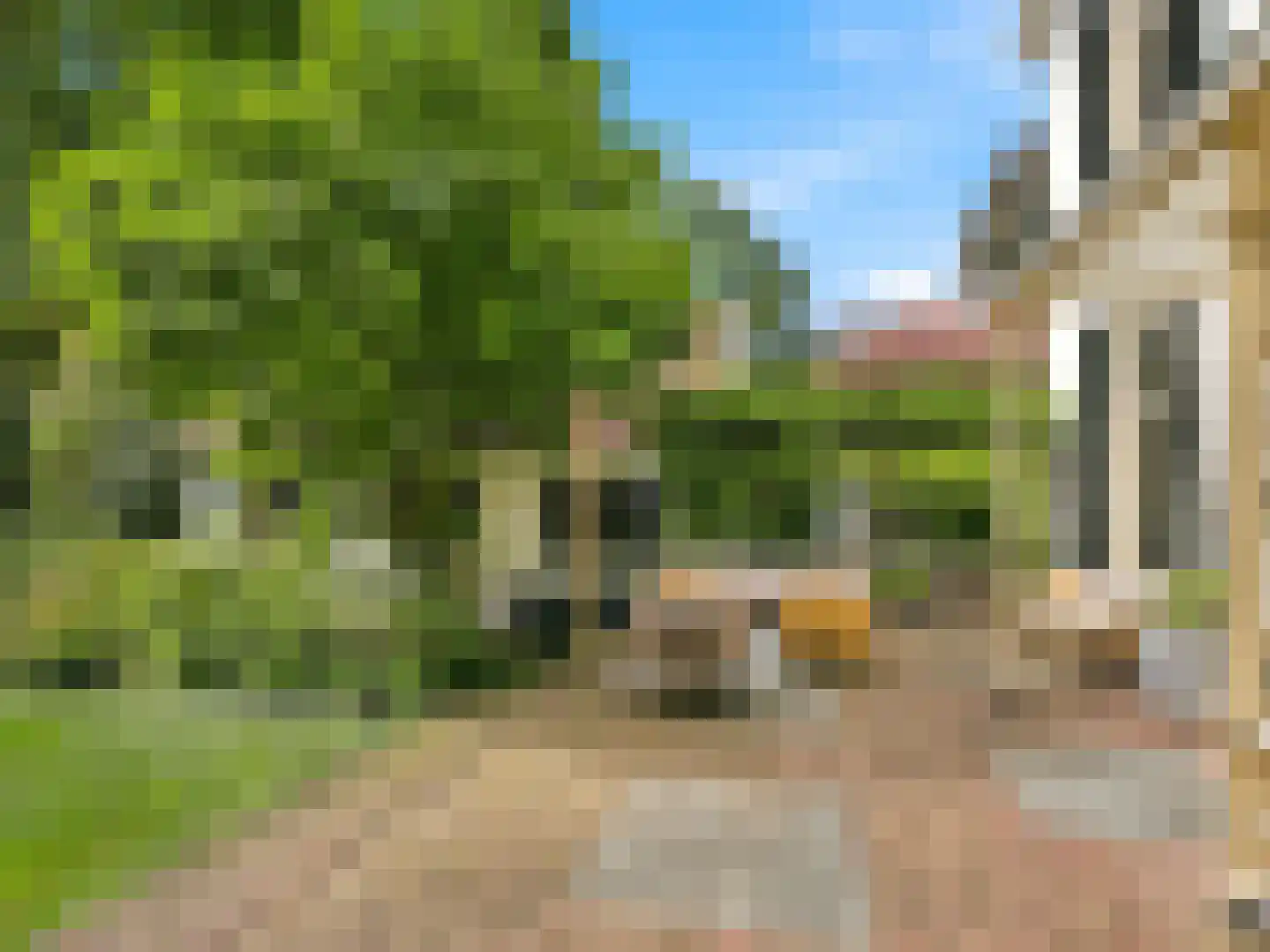 Rustoordlaan 21 Eefde thumbnail 46
