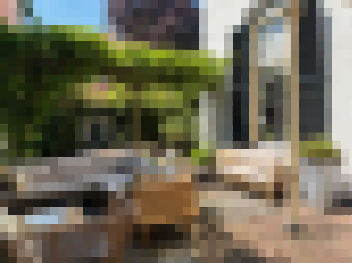 Rustoordlaan 21 Eefde thumbnail 47