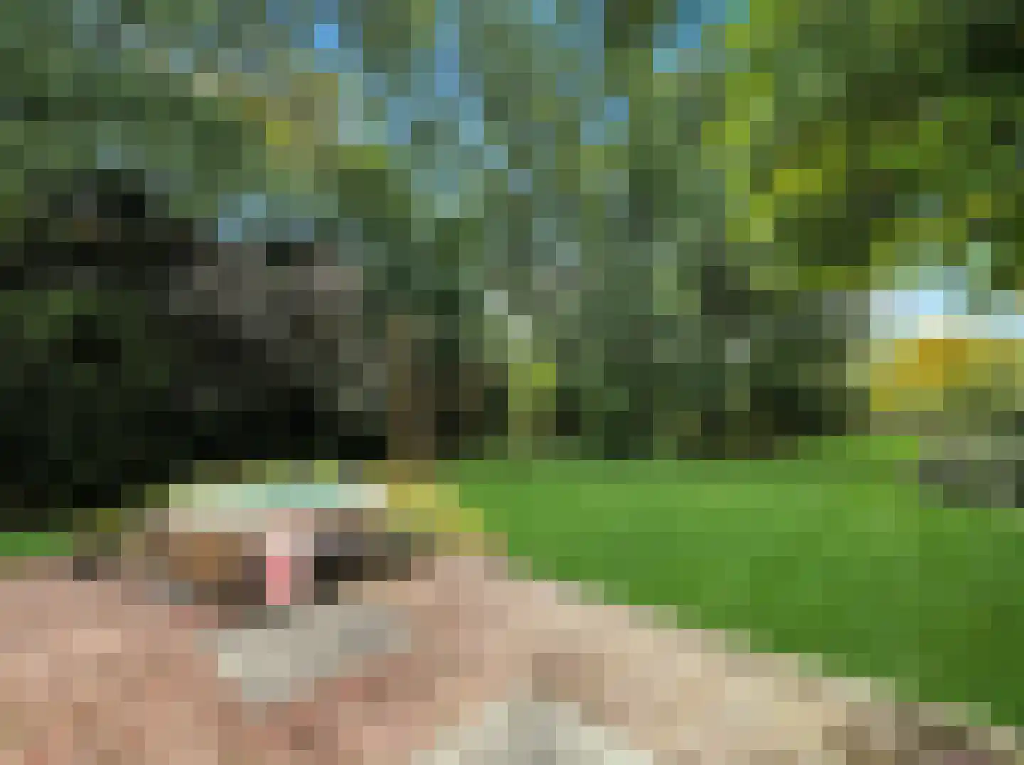 Rustoordlaan 21 Eefde thumbnail 48