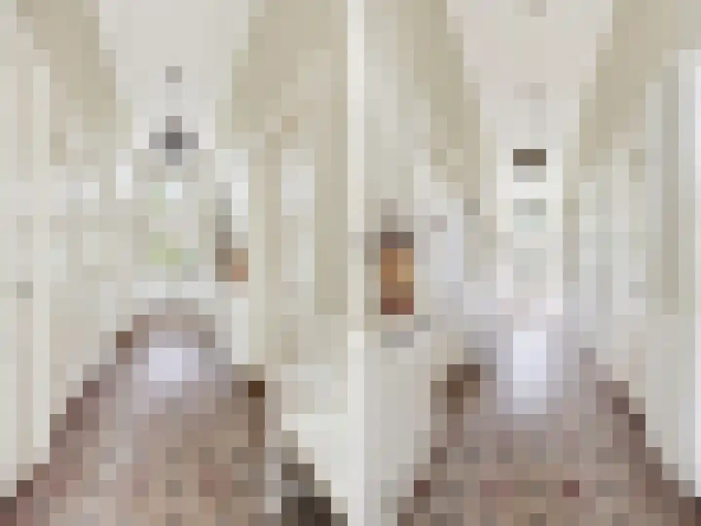 Rustoordlaan 21 Eefde thumbnail 5