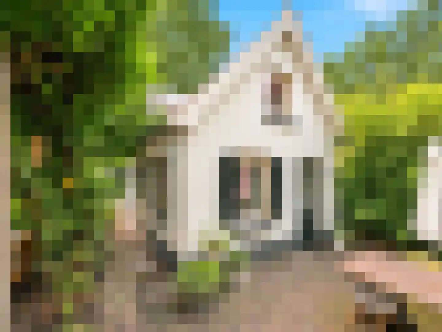 Rustoordlaan 21 Eefde thumbnail 52