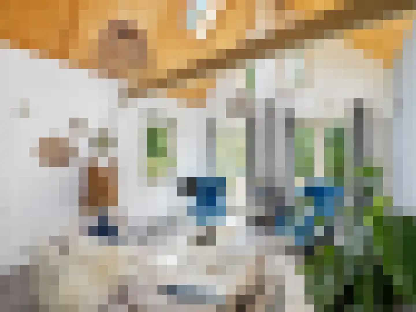 Rustoordlaan 21 Eefde thumbnail 53