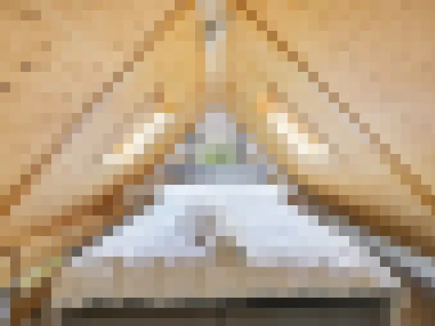 Rustoordlaan 21 Eefde thumbnail 59