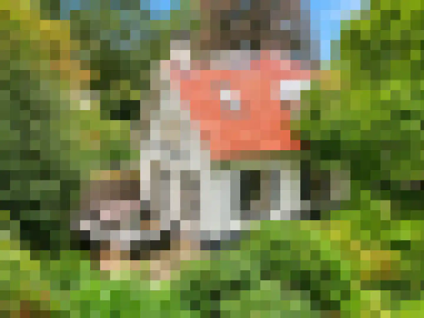 Rustoordlaan 21 Eefde thumbnail 62