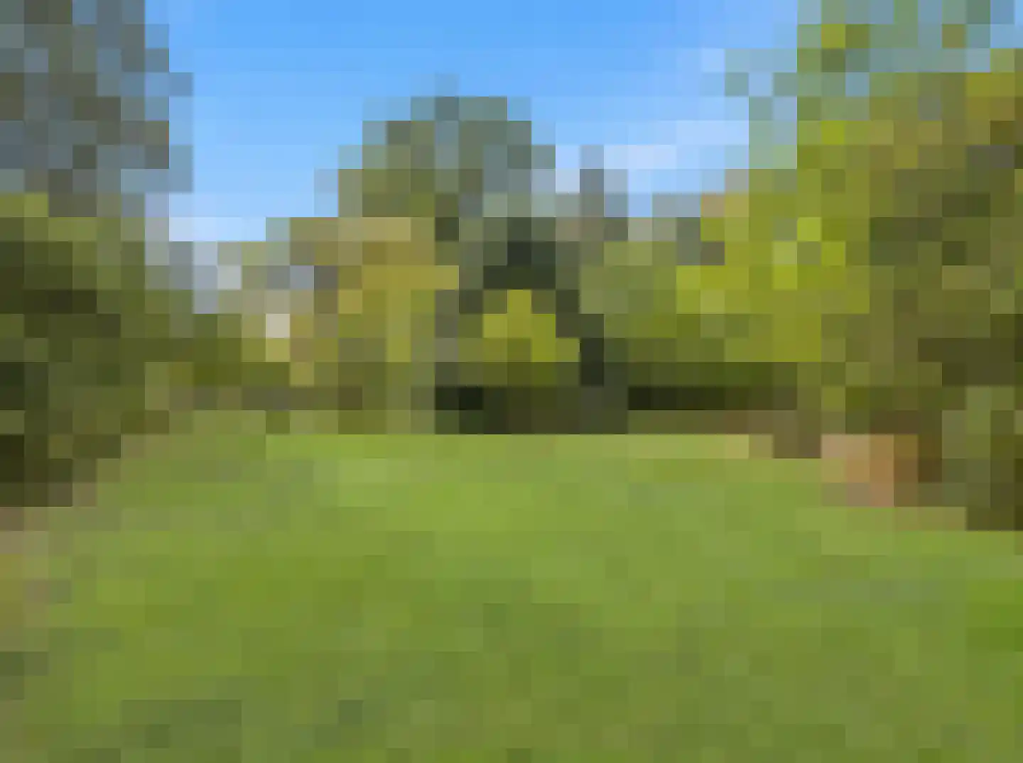Rustoordlaan 21 Eefde thumbnail 63