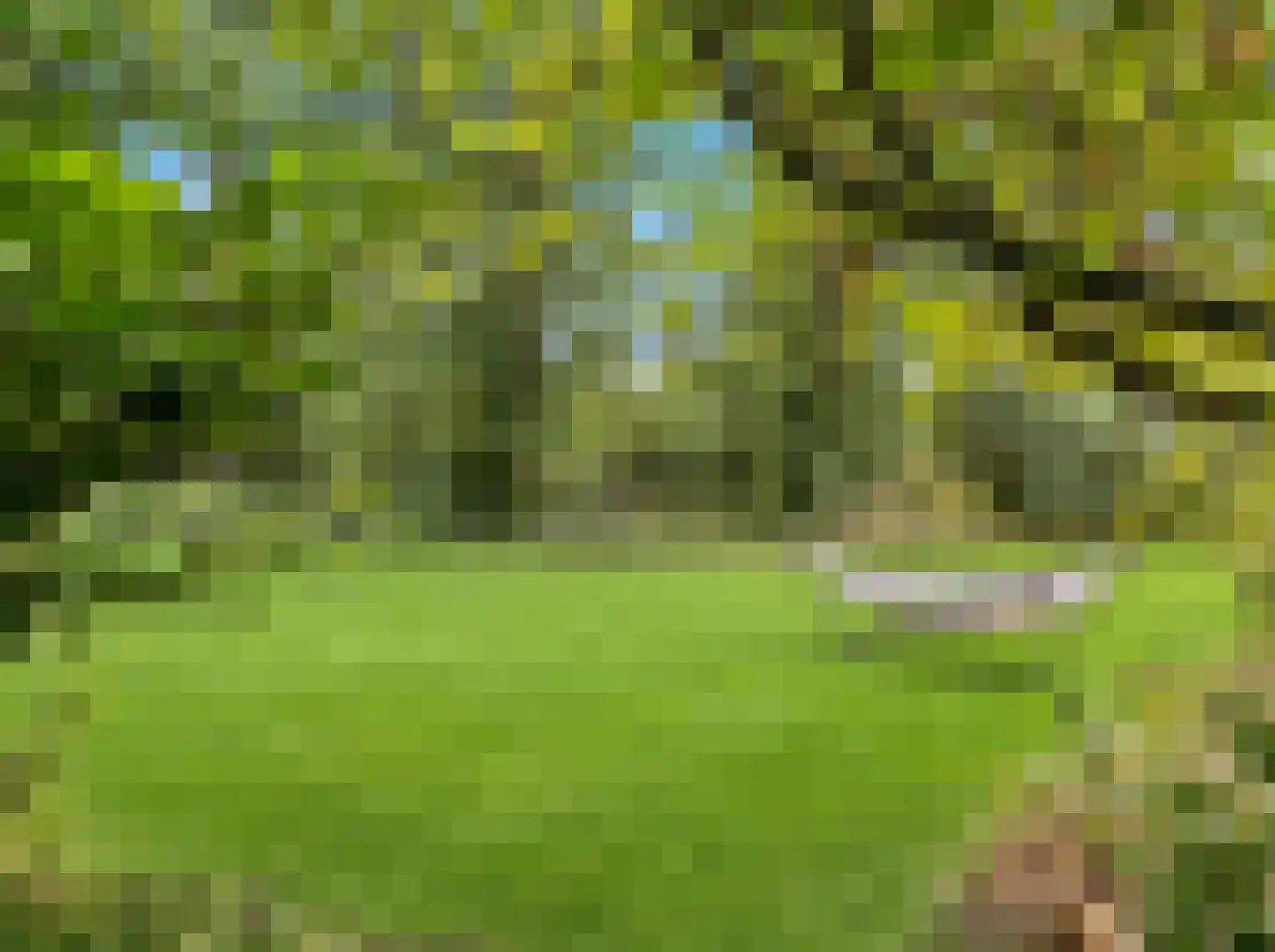 Rustoordlaan 21 Eefde thumbnail 64