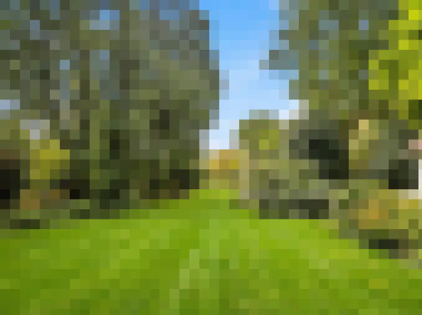 Rustoordlaan 21 Eefde thumbnail 66