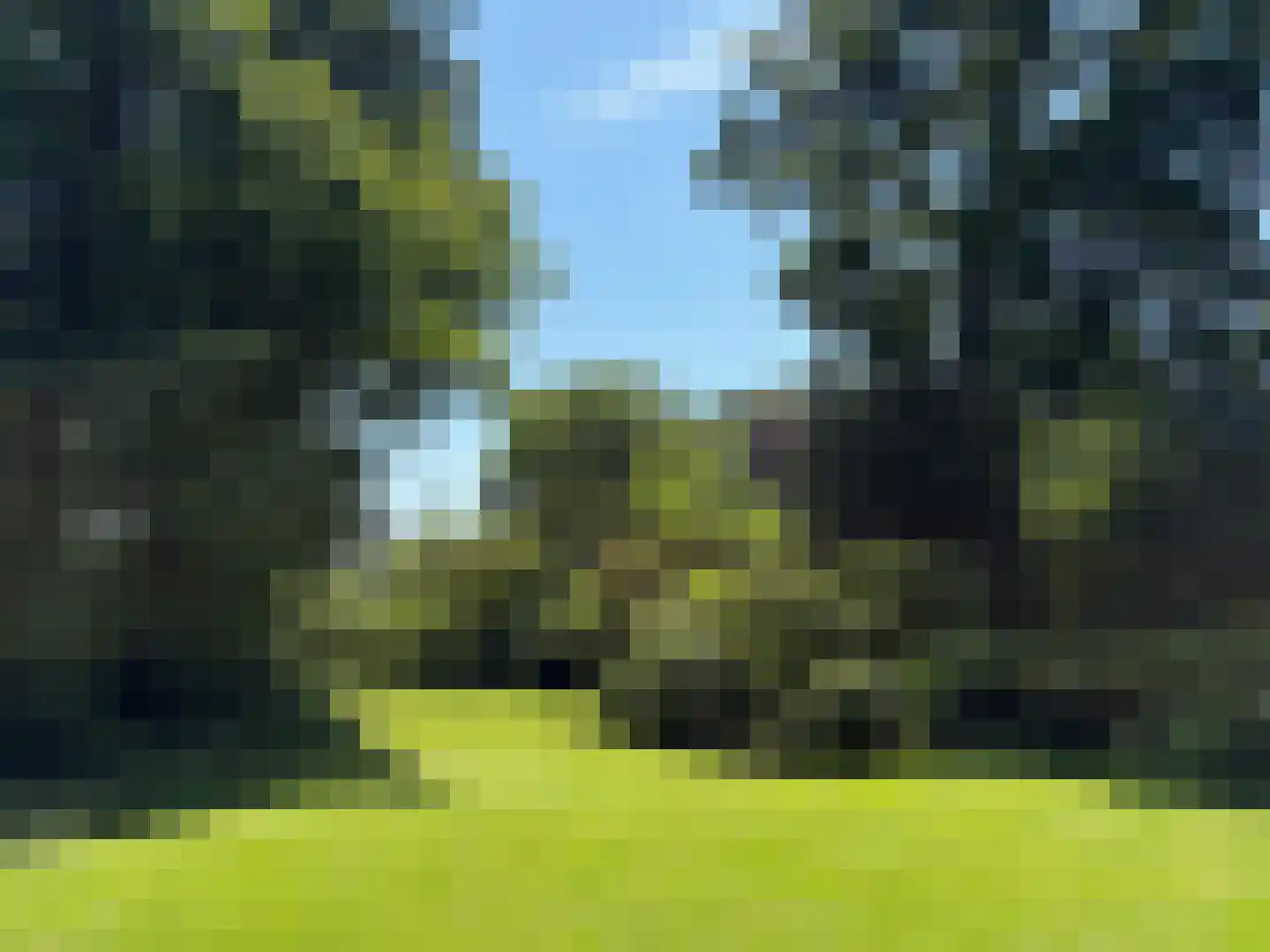 Rustoordlaan 21 Eefde thumbnail 67