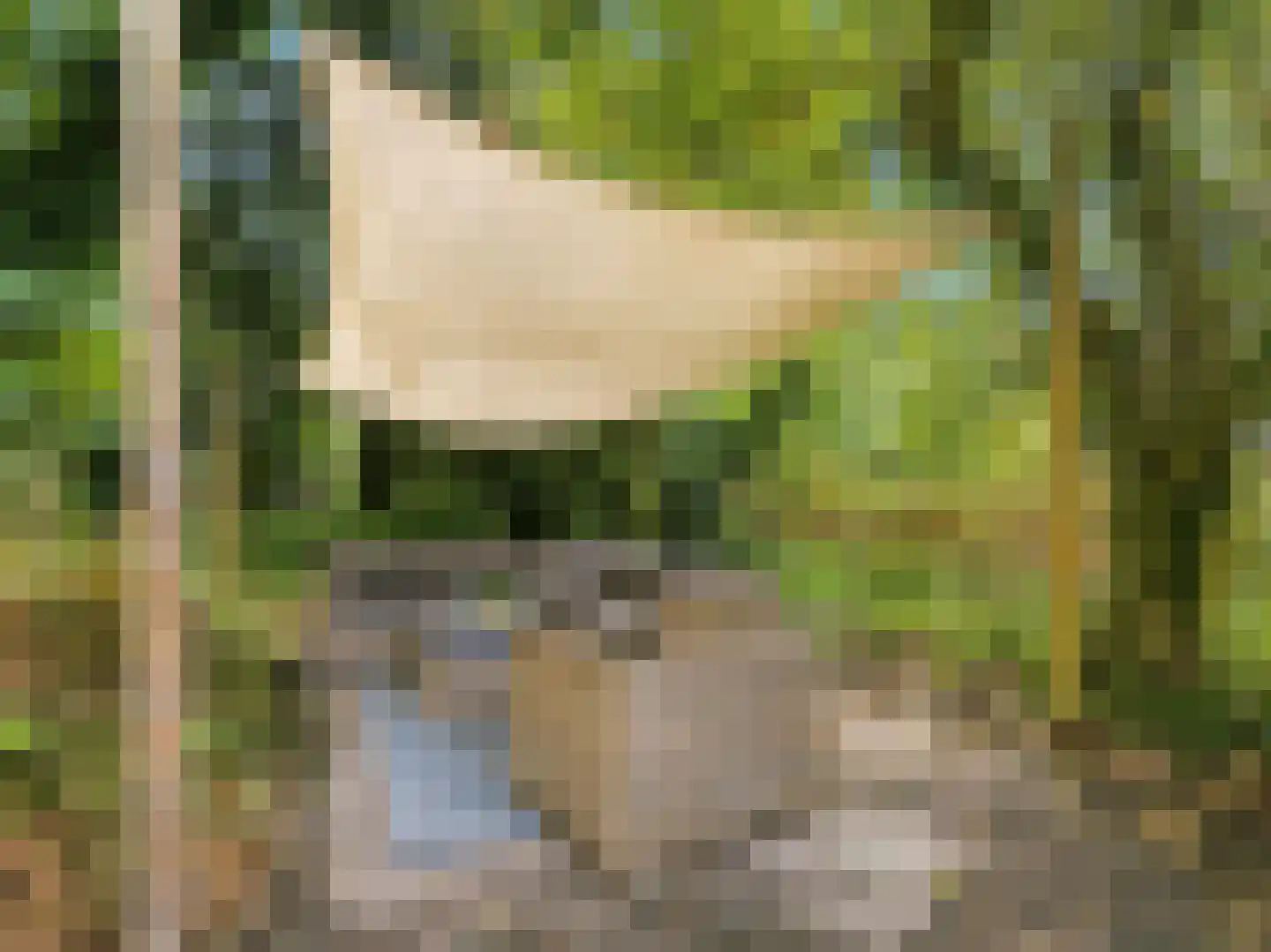Rustoordlaan 21 Eefde thumbnail 68