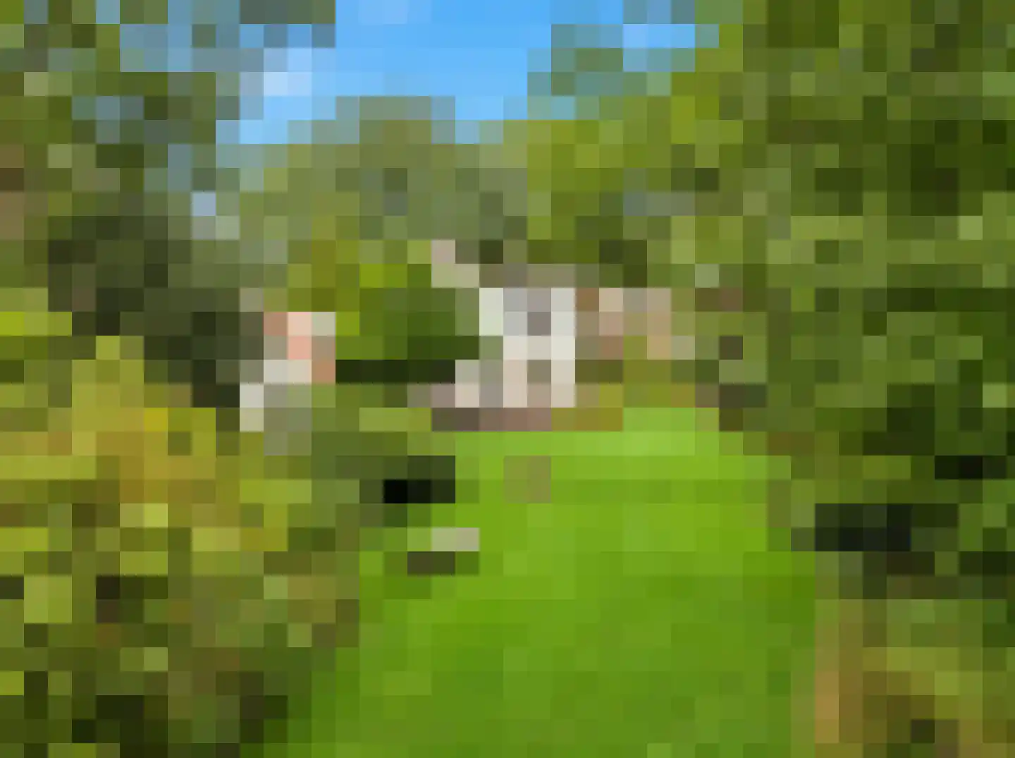 Rustoordlaan 21 Eefde thumbnail 69