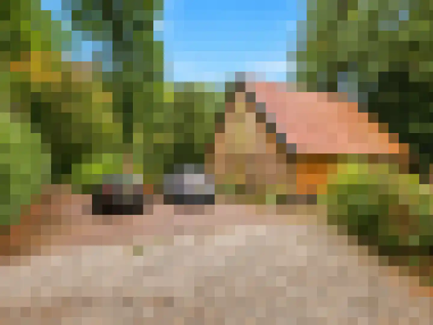 Rustoordlaan 21 Eefde thumbnail 72