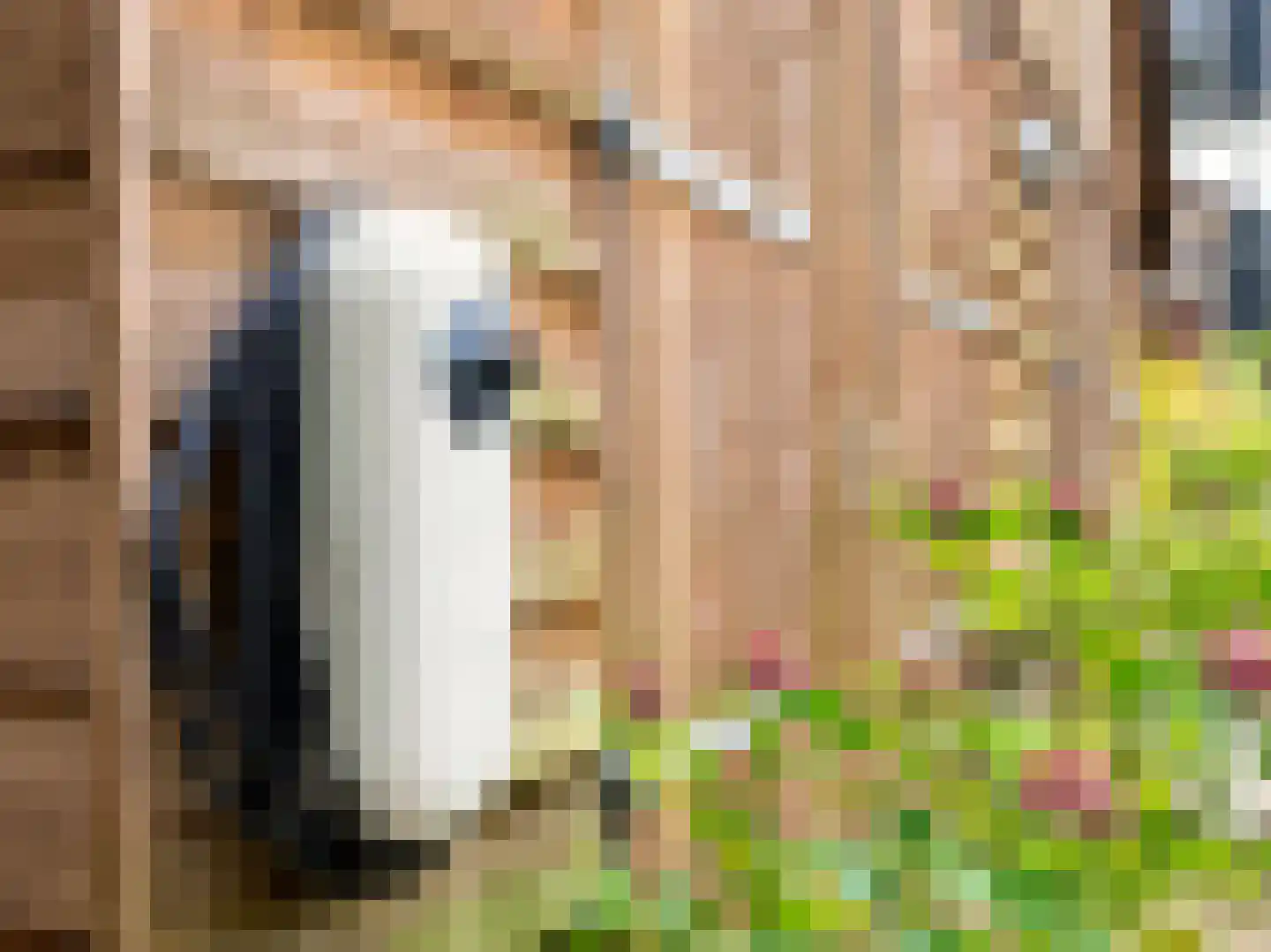 Rustoordlaan 21 Eefde thumbnail 73