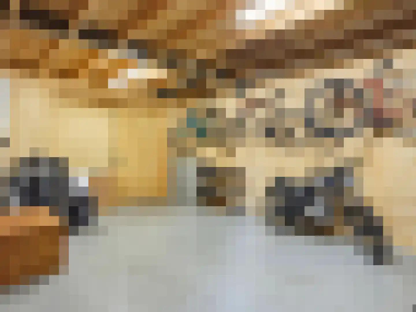 Rustoordlaan 21 Eefde thumbnail 75