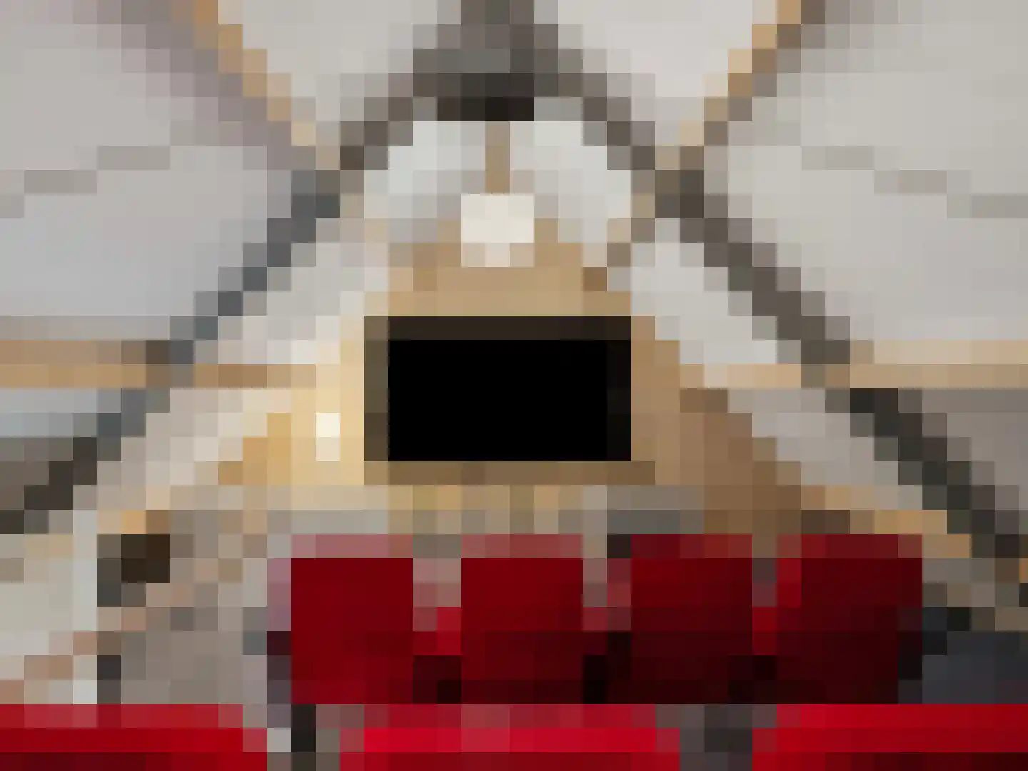 Rustoordlaan 21 Eefde thumbnail 76