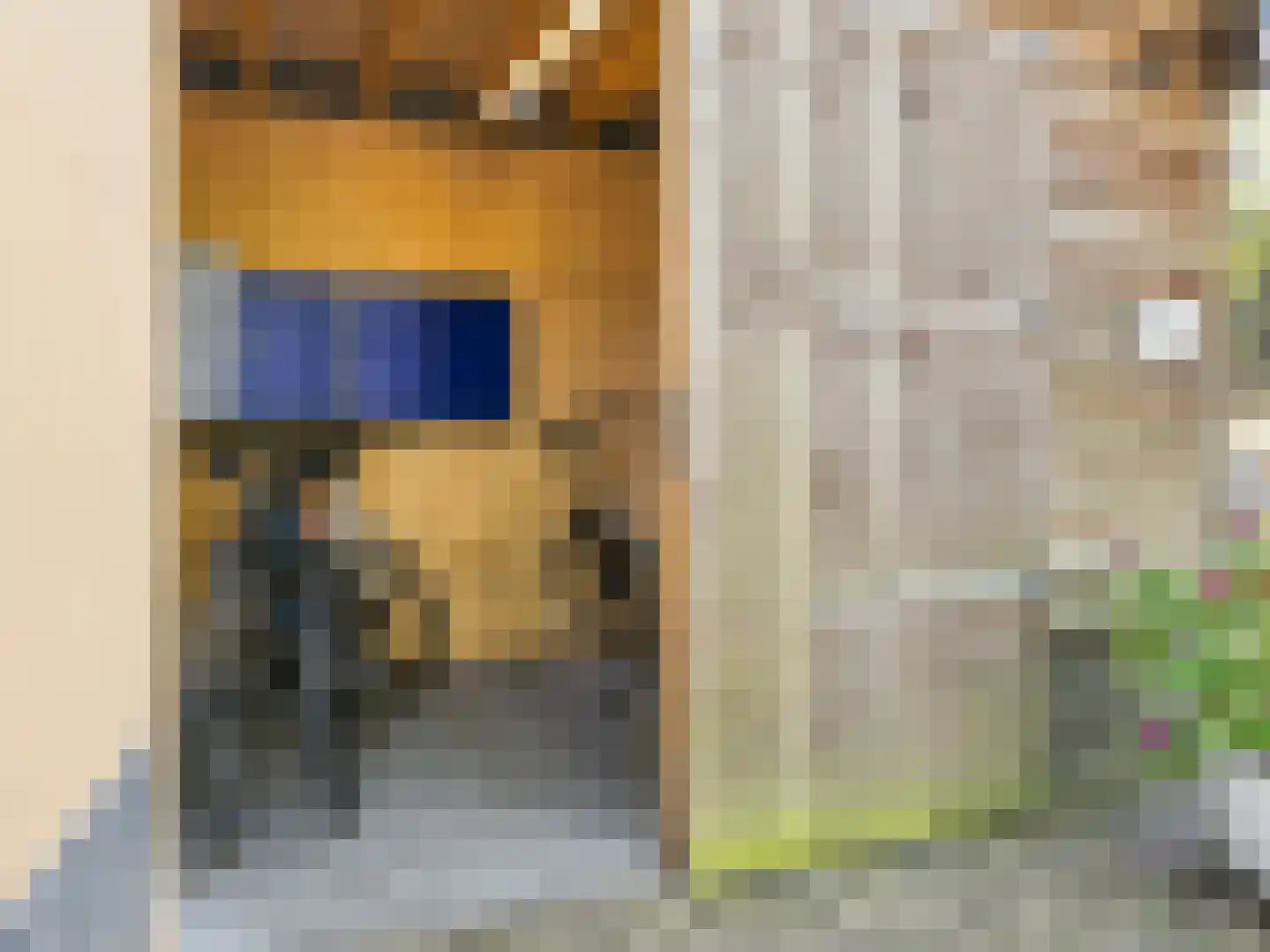 Rustoordlaan 21 Eefde thumbnail 78